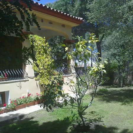 Zenour 2 *