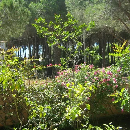Zenour 2 Hébergement de vacances