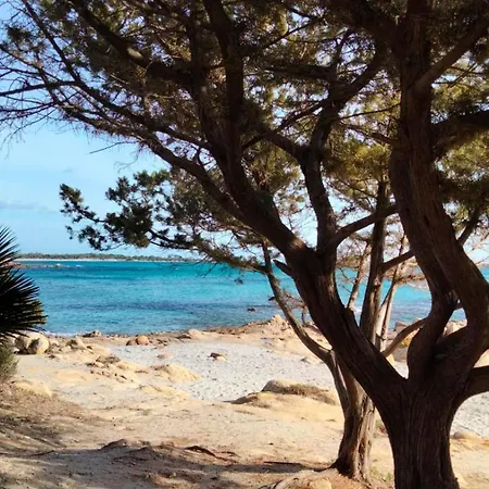 Zenour 2 Hébergement de vacances *